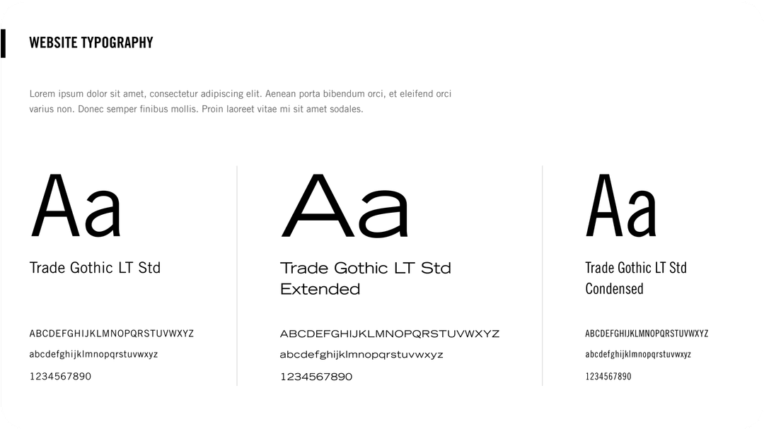 Shopify brand identity sample: color palette and brand guidelines