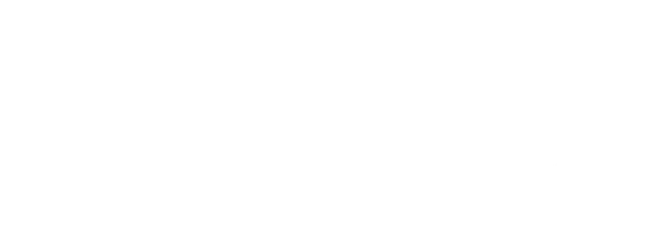 Vytronix Team
