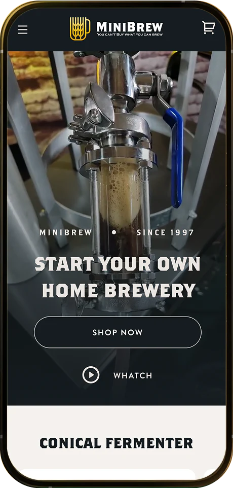 Shopify mobile app and store design example